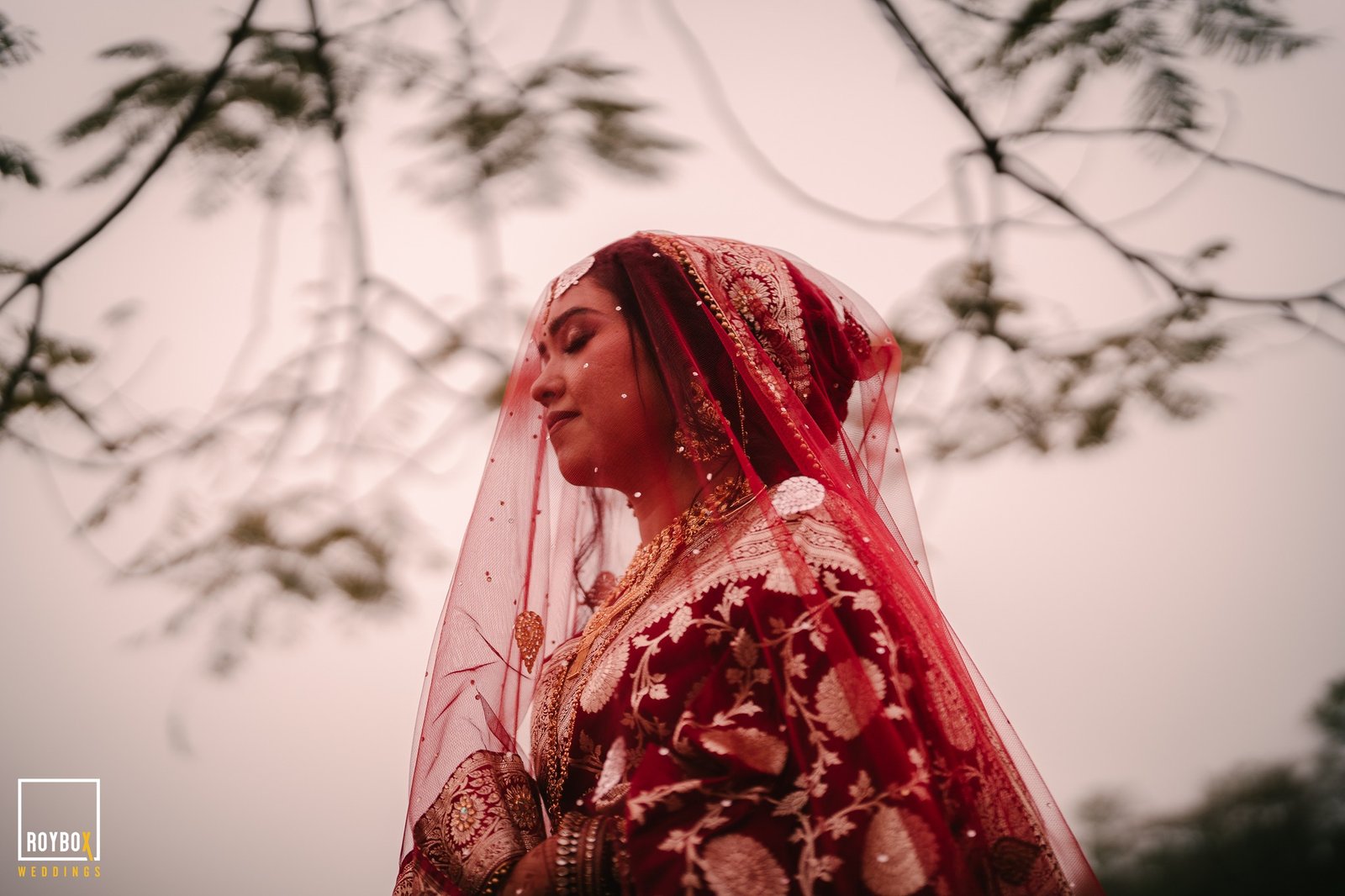 Roybox Weddings - Roybox Weddings’s New Streaming Service